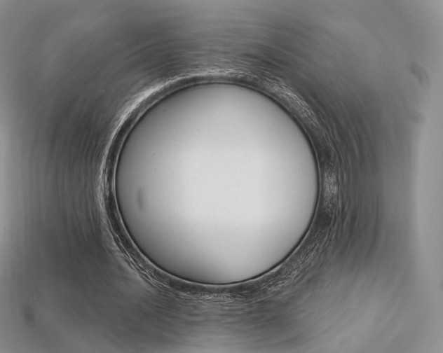 X0000113230628200909100944