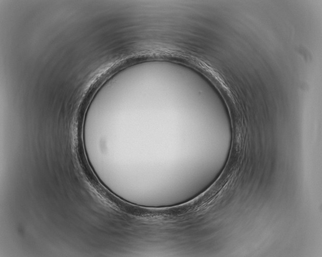 X0000113230629200909100944