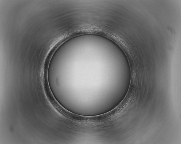 X0000113230630200909100944