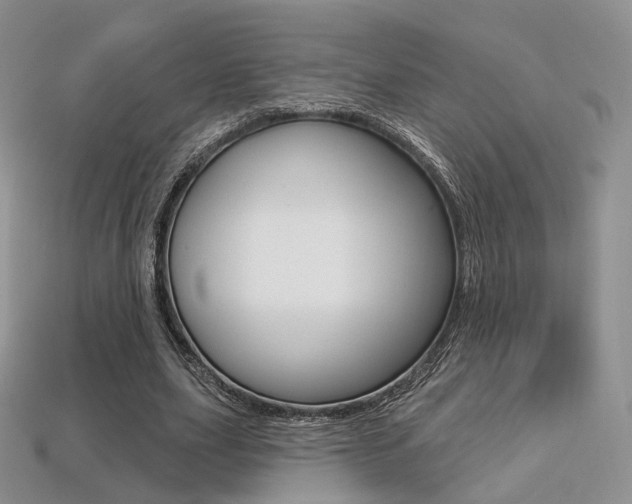 X0000113230631200909100944