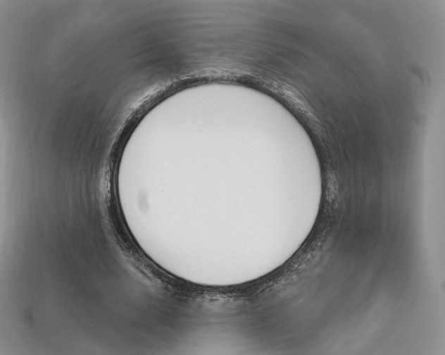 X0000113230632200909100944