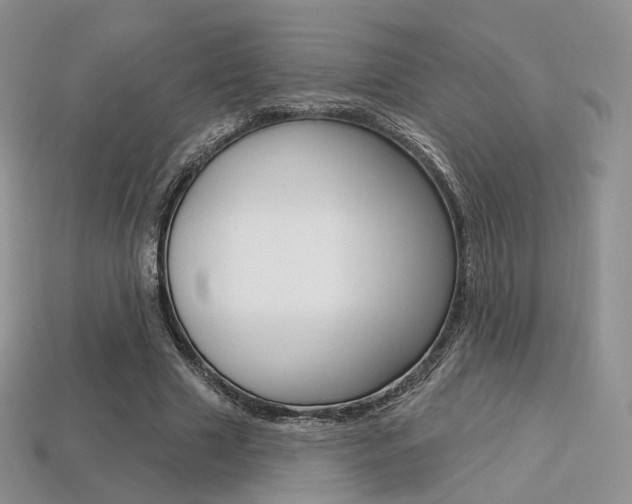 X0000113230633200909100944