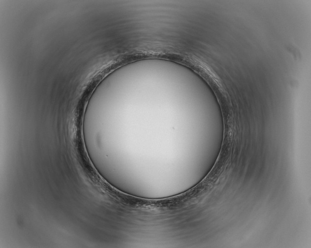 X0000113230635200909100944