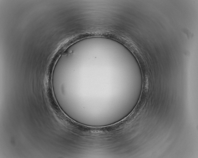 X0000113230636200909100944