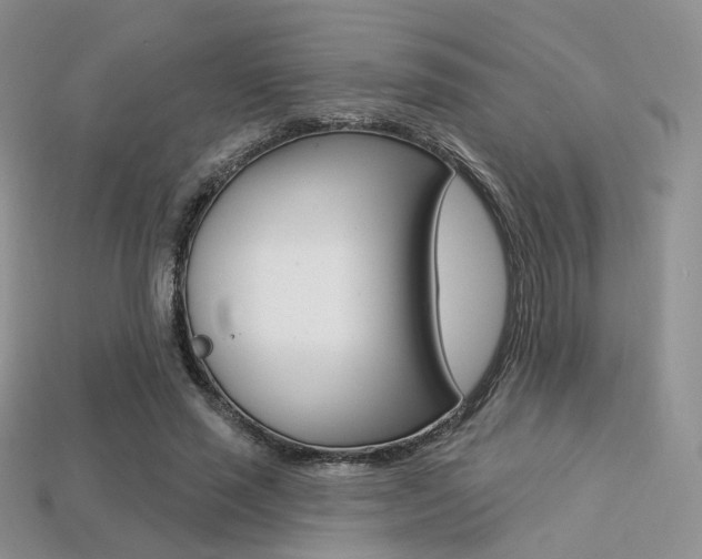 X0000113230637200909100944