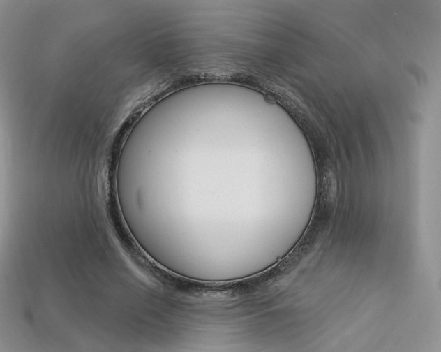 X0000113230638200909100944