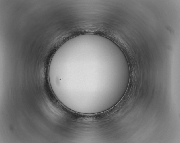 X0000113230639200909100944