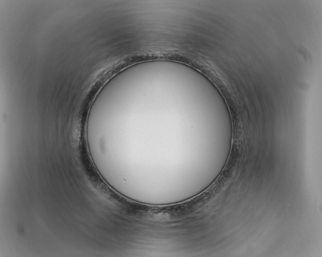X0000113230640200909100944