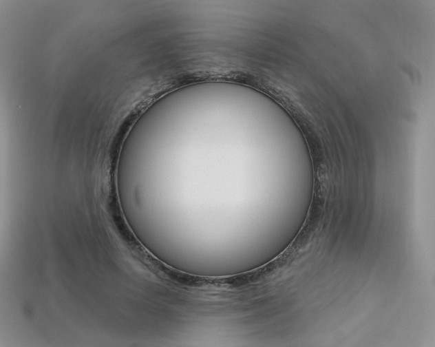 X0000113230642200909100944