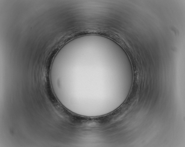 X0000113230643200909100944