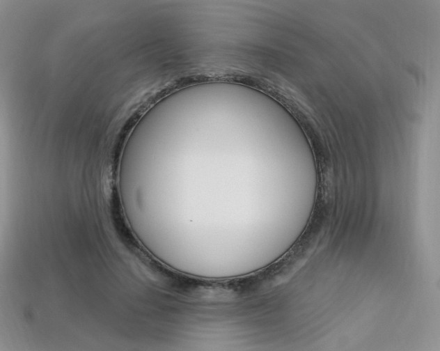 X0000113230644200909100944