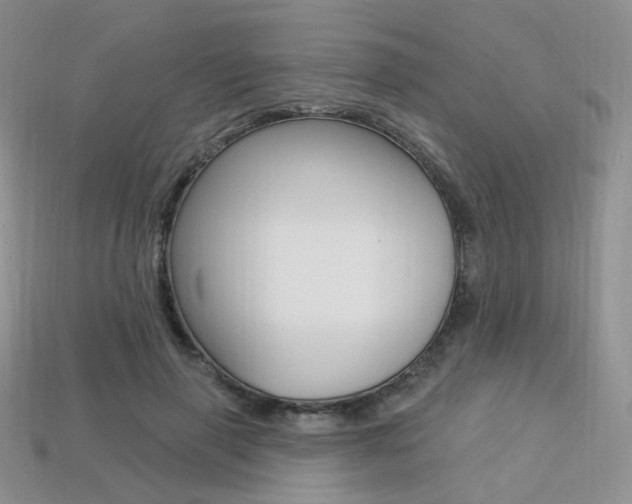 X0000113230645200909100944