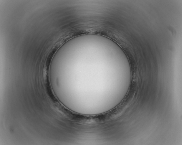 X0000113230646200909100944
