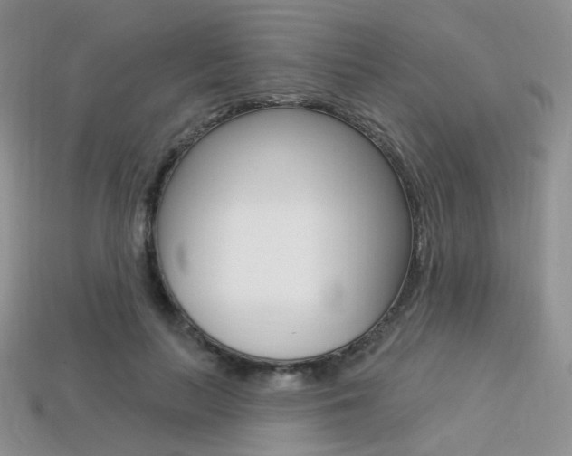 X0000113230647200909100944