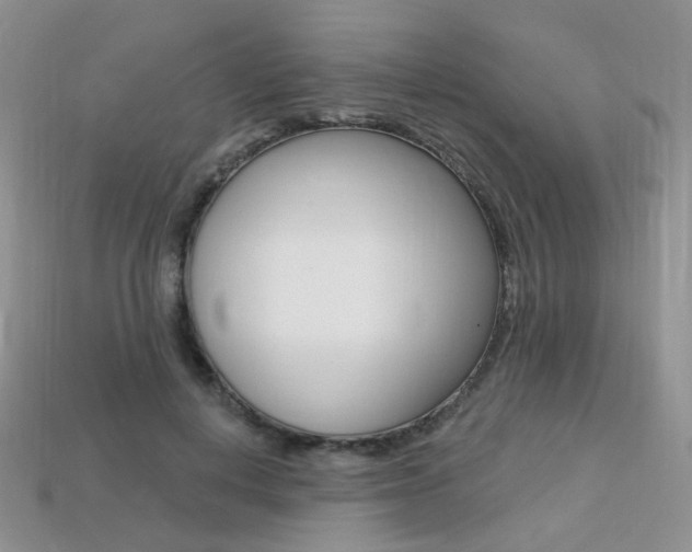 X0000113230648200909100944