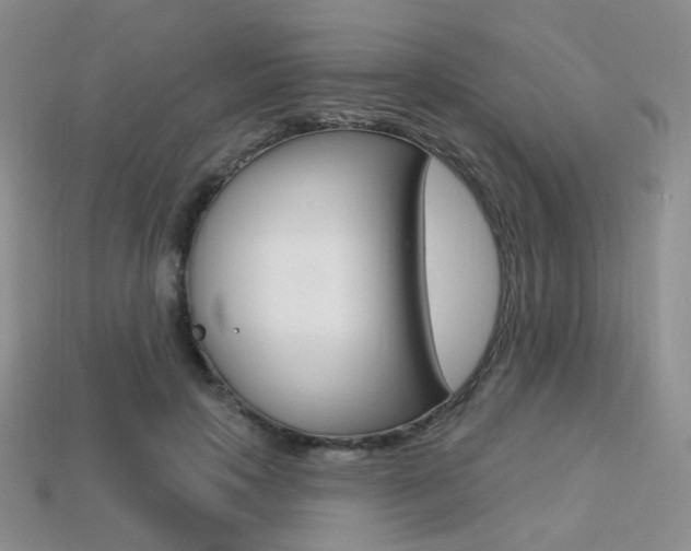 X0000113230649200909100944