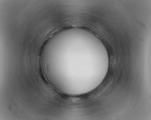 X0000113230650200909100944