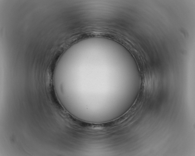 X0000113230651200909100944