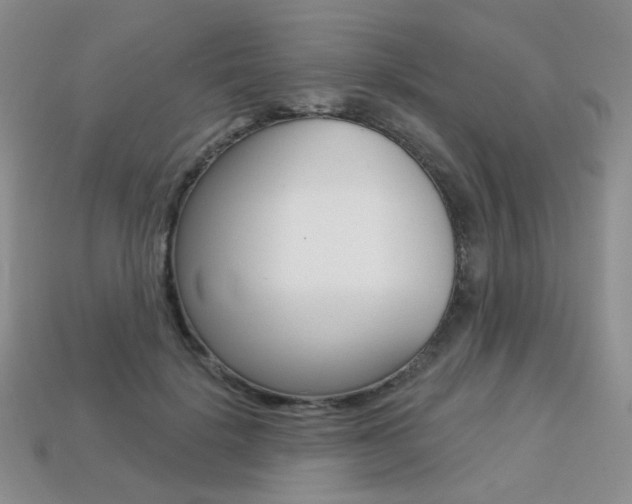 X0000113230652200909100944