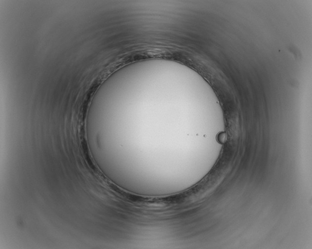 X0000113230653200909100944