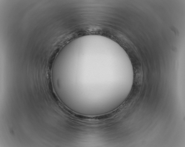 X0000113230654200909100944