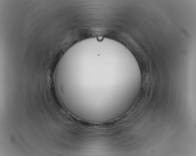 X0000113230655200909100944