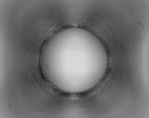 X0000113230656200909100944