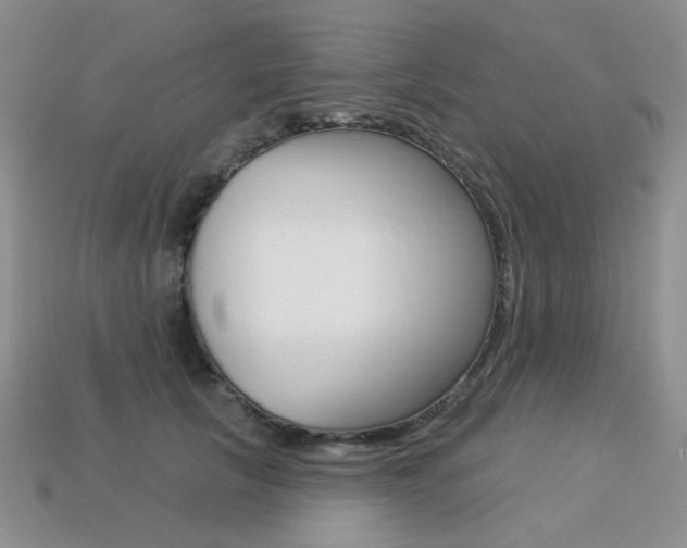 X0000113230657200909100944