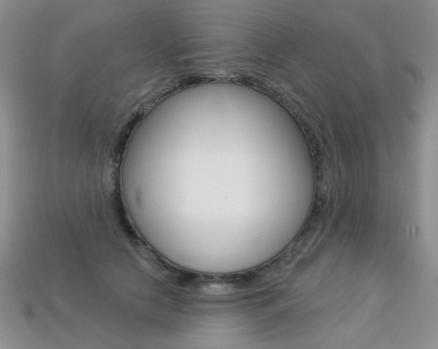 X0000113230658200909100944