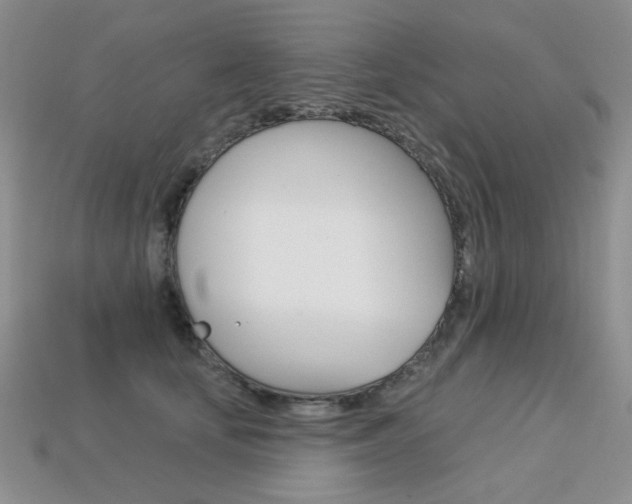 X0000113230659200909100944