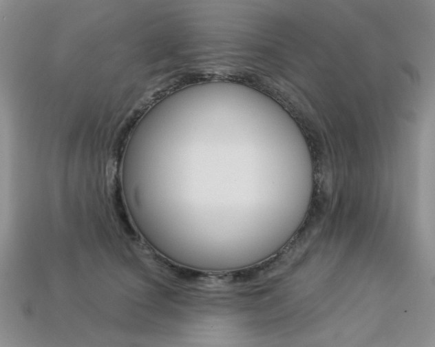 X0000113230660200909100944