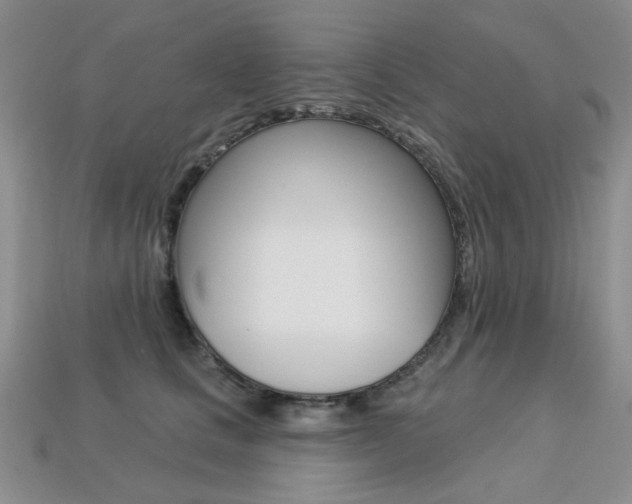 X0000113230661200909100944