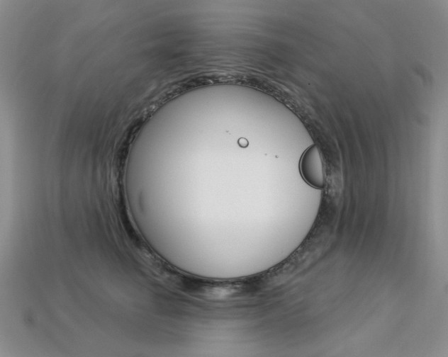 X0000113230662200909100944