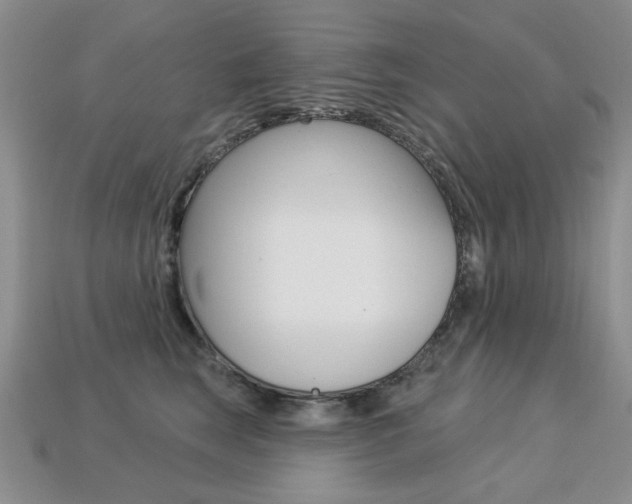 X0000113230663200909100944