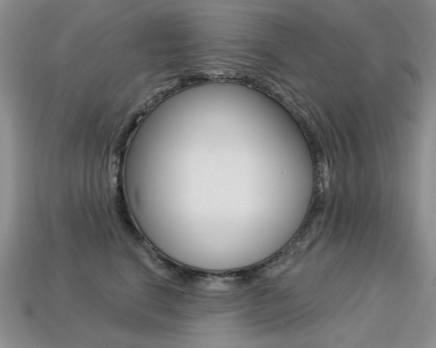 X0000113230664200909100944