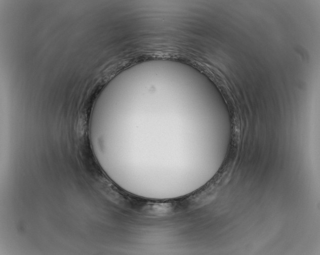X0000113230665200909100944