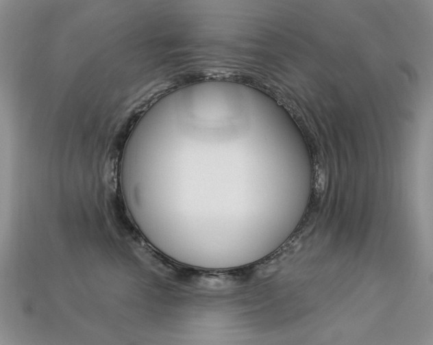 X0000113230666200909100944