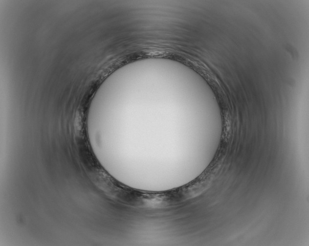 X0000113230667200909100944