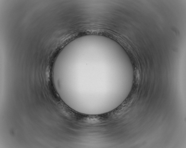 X0000113230668200909100944