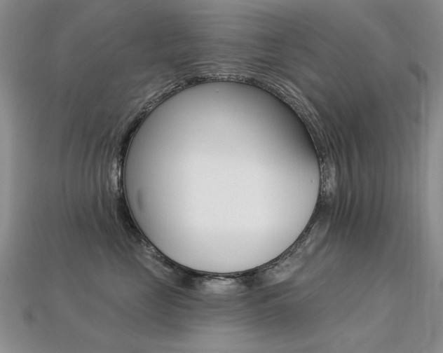 X0000113230669200909100944