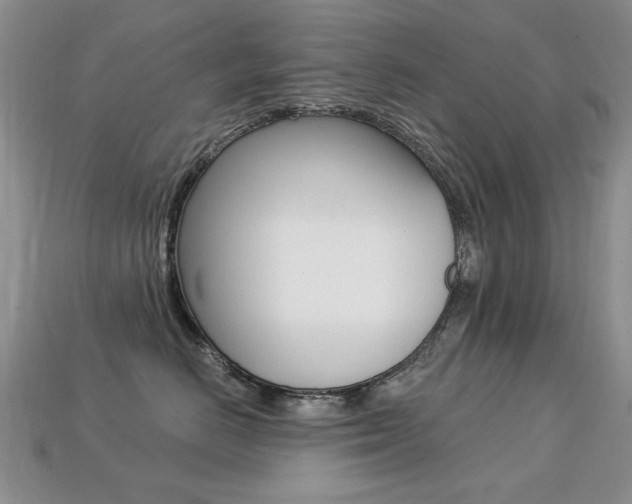 X0000113230670200909100944