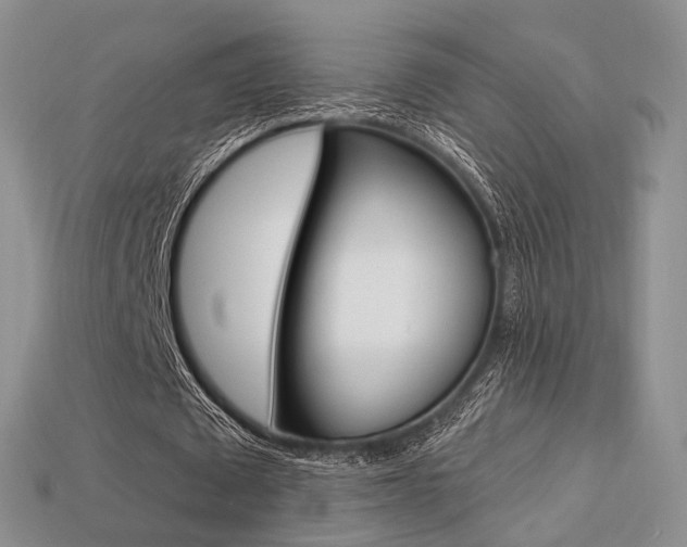X0000113230673200909100944