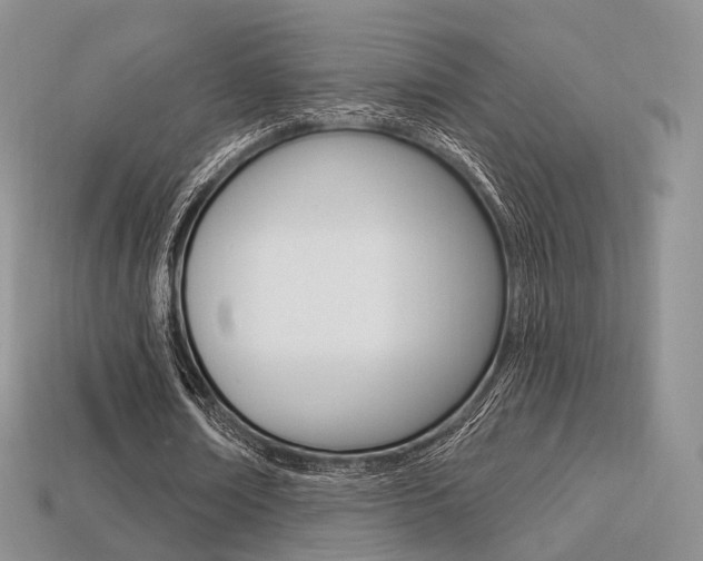 X0000113230674200909100944