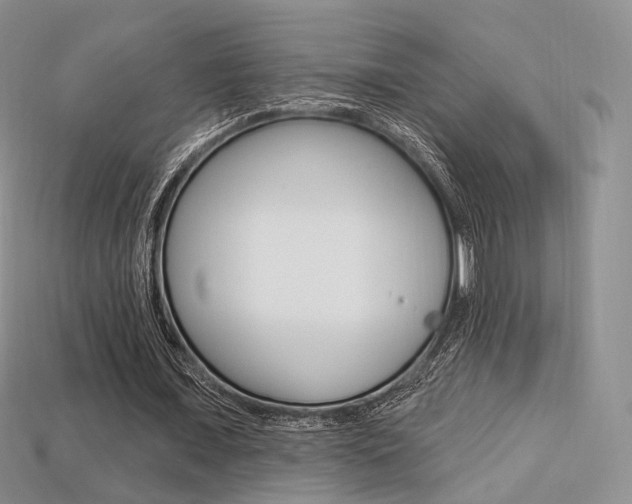 X0000113230675200909100944