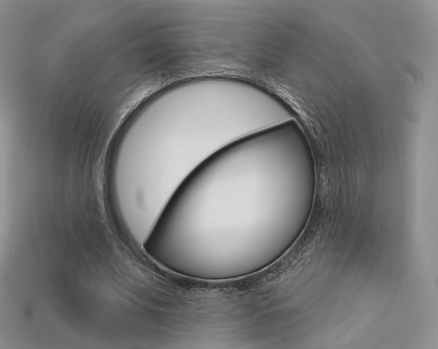 X0000113230679200909100944