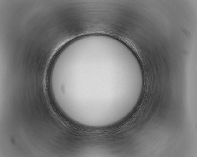 X0000113230680200909100944
