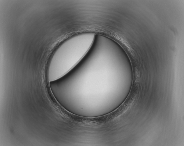 X0000113230681200909100944