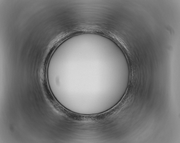 X0000113230682200909100944