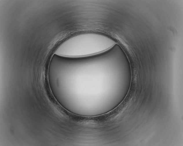 X0000113230685200909100944