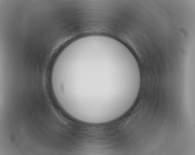X0000113230688200909100944